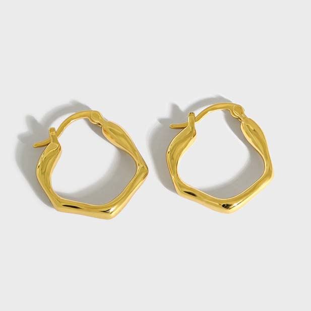 Fashion Irregular Geometry 925 Sterling Silver Hoop Earrings